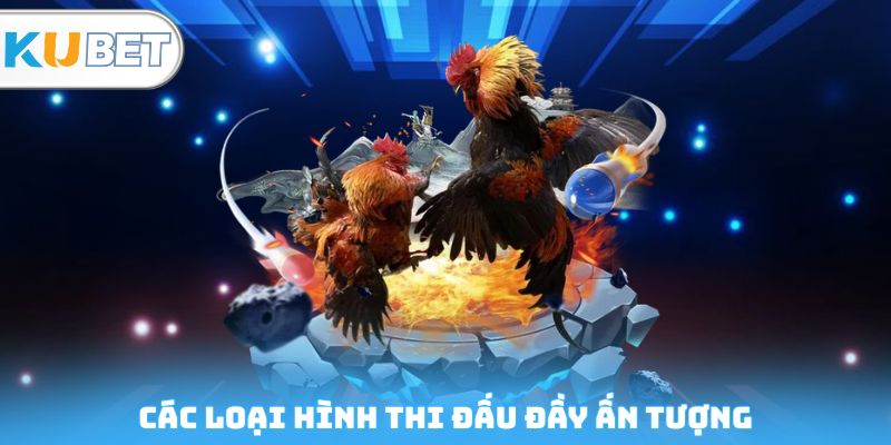 Các loại hình thi đấu đầy ấn tượng